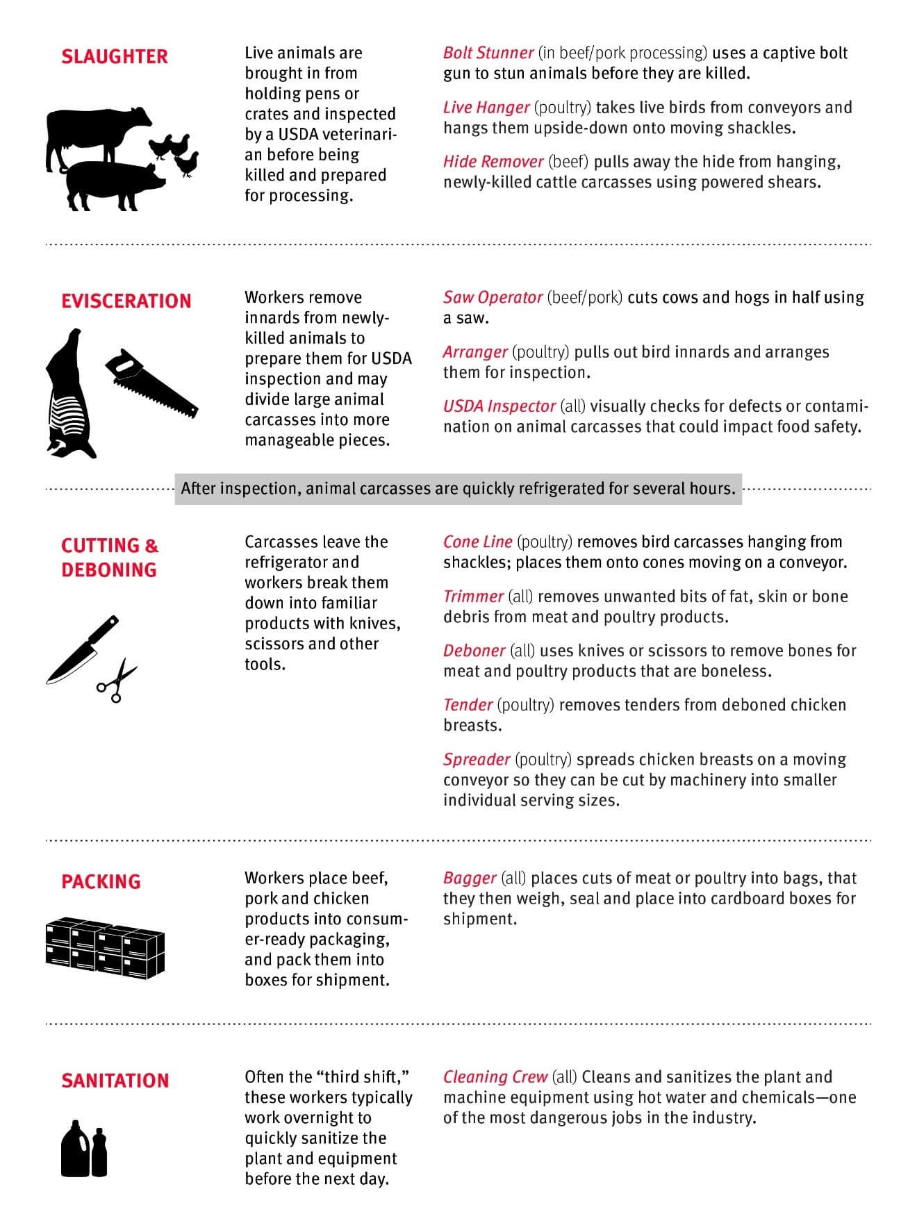 Infographic of the jobs required to turn live animals into food on the grocery store shelves