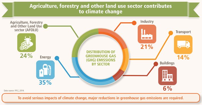 Infographic on the contribution to climate change of various sector showing energy to be the highest at 35% and Agriculture, forestry, and other land use sector in second place at 24%