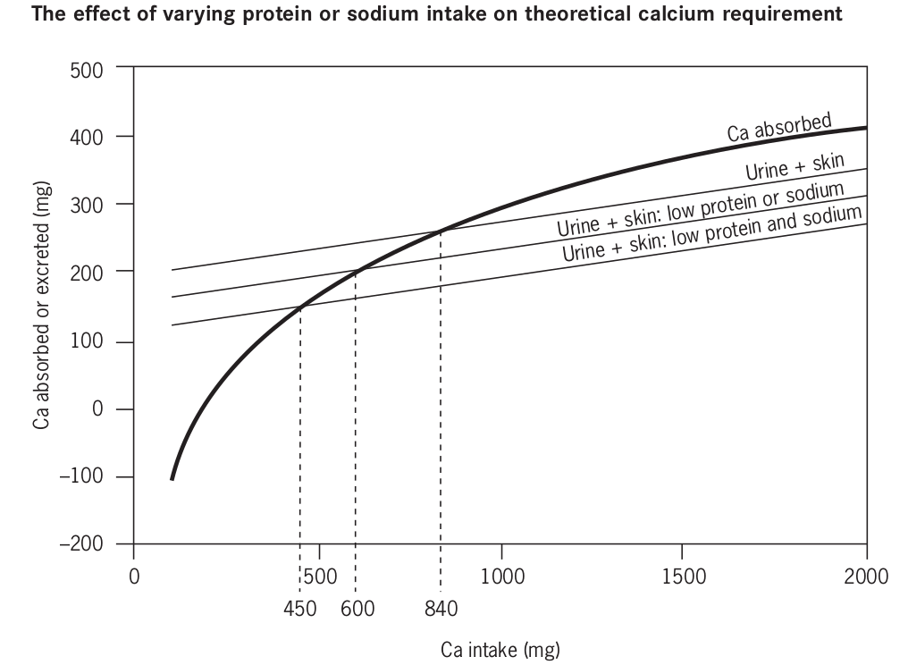 Line graph of the effect of varying protein or sodium intake on theoretical calcium requirements showing intercept at 450, 600 and 800mg per day