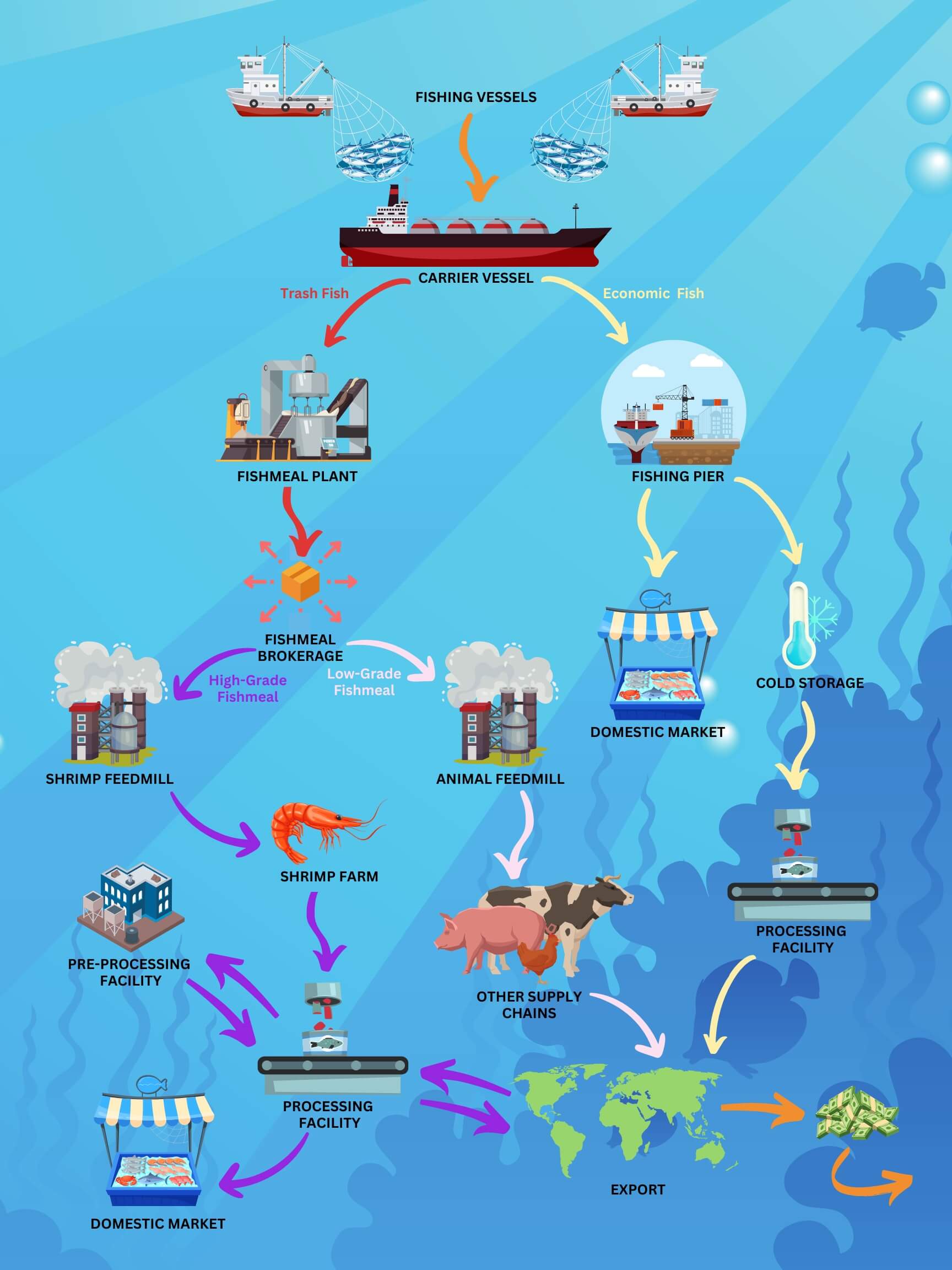 Flow chart of Thailand’s seafood supply chain showing how intertwined the seafood supply chain with other processes like animal feed