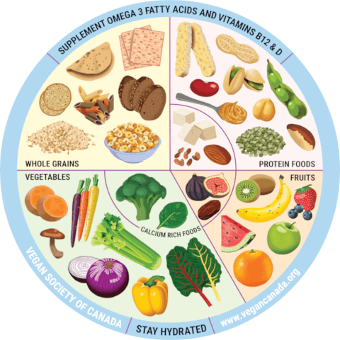 Food plate for the planet | Vegan Society of Canada