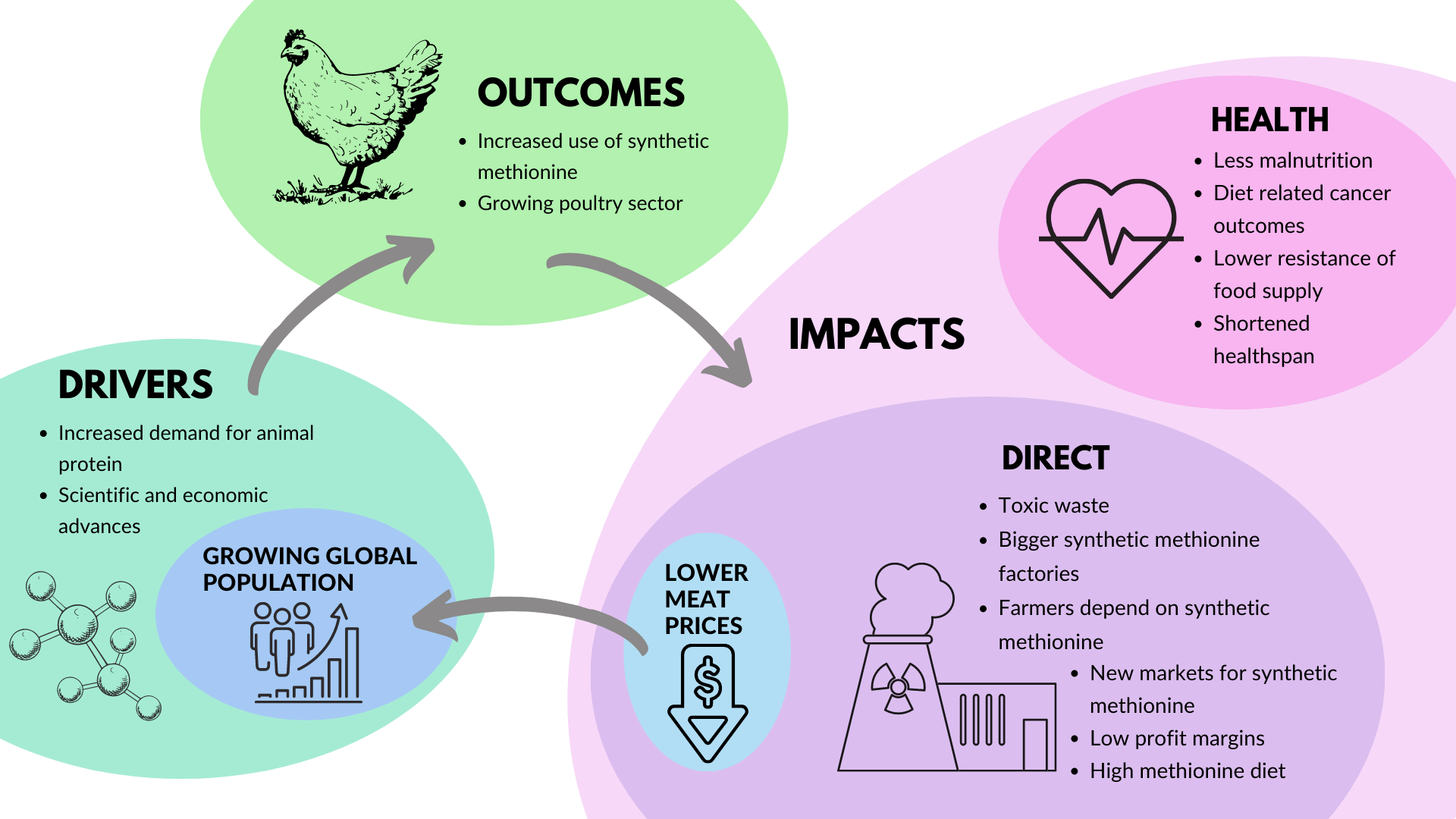 Circular flow chart diagram of the synthetic production of methionine showing that a growing population in part drives the increase use of synthetic methionine which in turns lower meat prices supporting a growing population