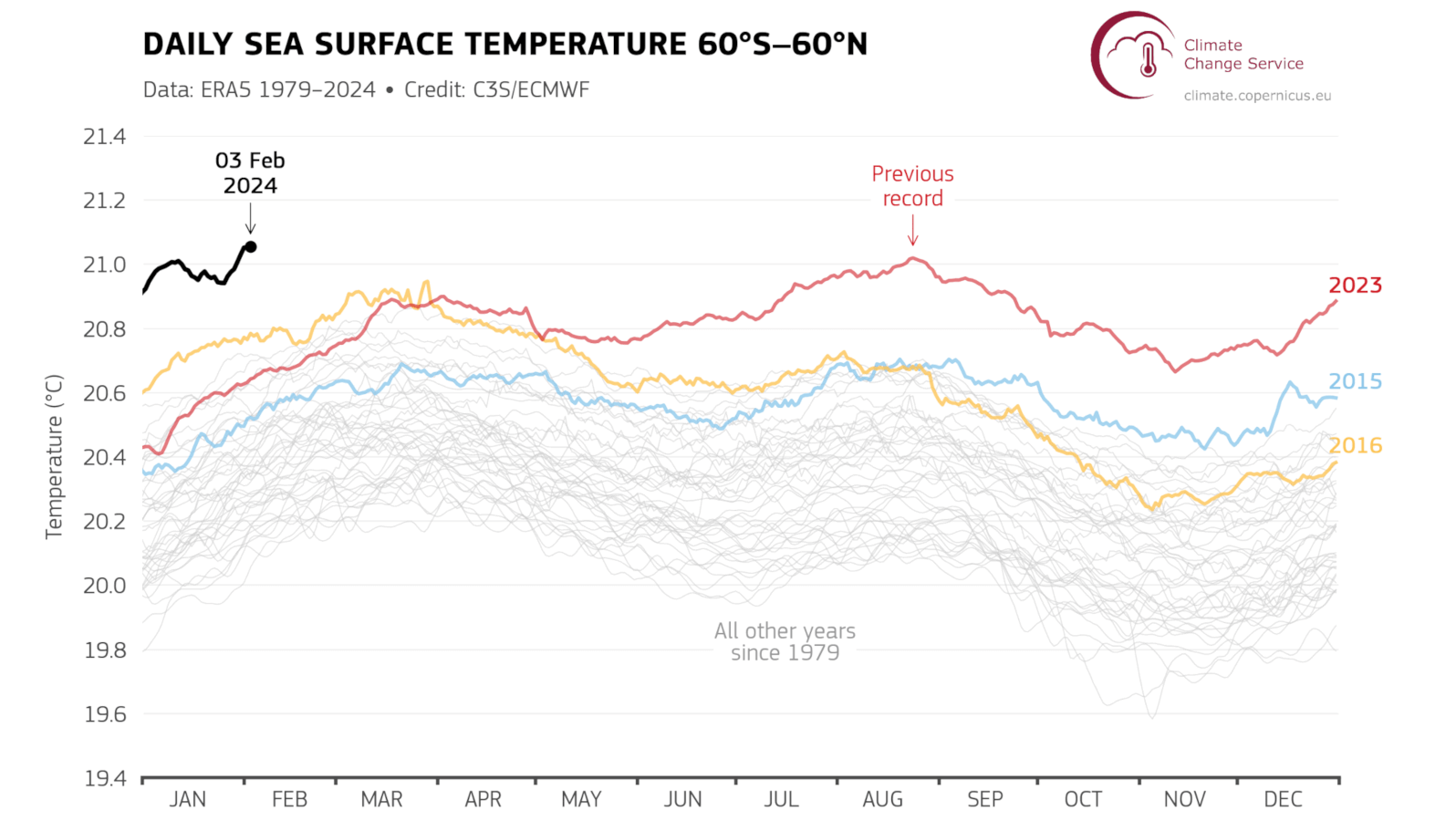 Line graph of the daily sea surface temperature showing various years with 2024 being significantly above others